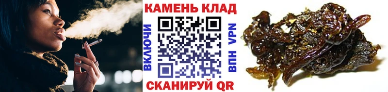 сайты даркнета формула  что такое наркотик  Нестеров  ГАШИШ гашик 