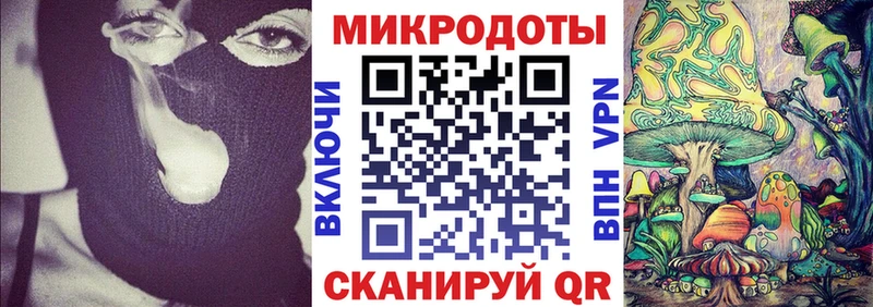 Псилоцибиновые грибы Psilocybine cubensis  блэк спрут как войти  Нестеров  как найти наркотики 